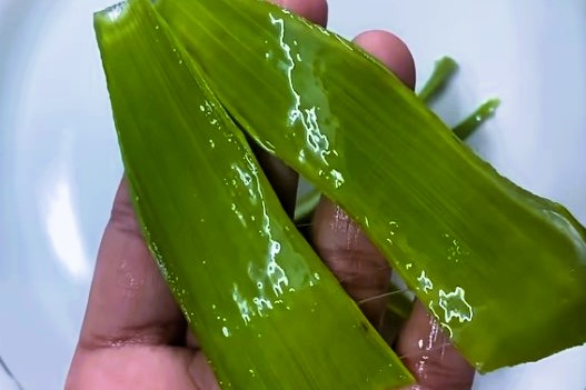 Aloe vera gel for eyebrow growth